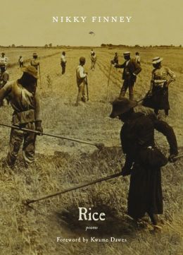 rice_cover