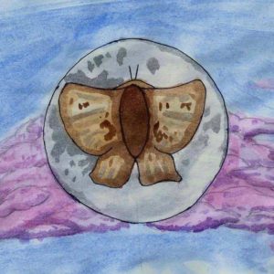 moon-moths